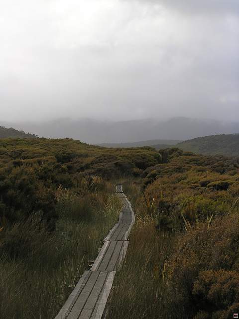 steward island 010.jpg